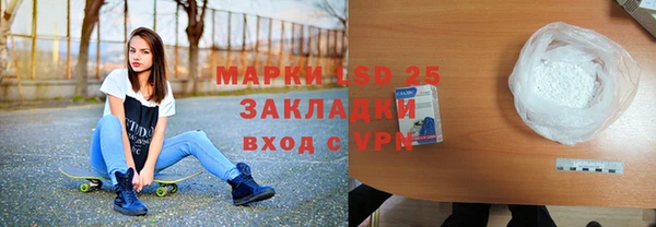 индика Вязники