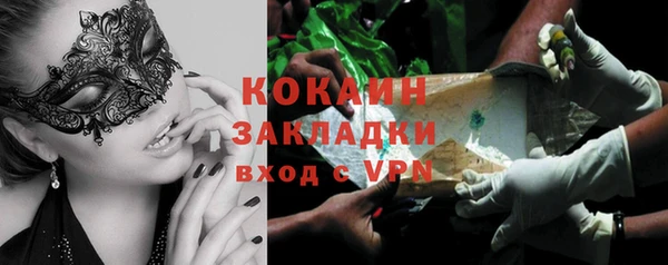 прущие грибы Вяземский