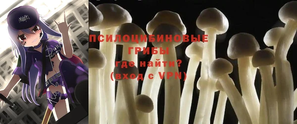 индика Вязники