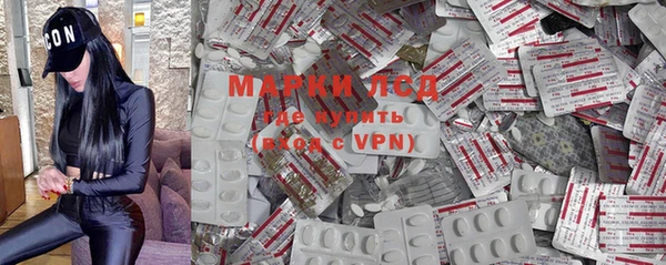 индика Вязники