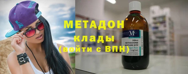 прущие грибы Вяземский