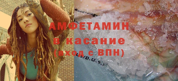 индика Вязники
