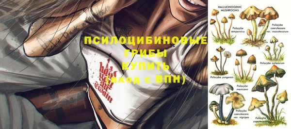 МДПВ Горняк