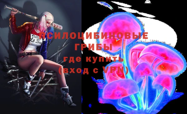мдпв Горно-Алтайск