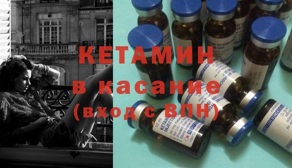 прущие грибы Вяземский