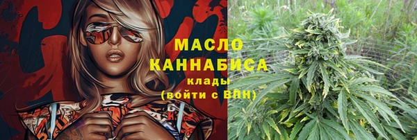 индика Вязники