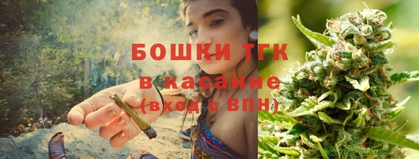 прущие грибы Вяземский