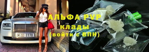 прущие грибы Вяземский