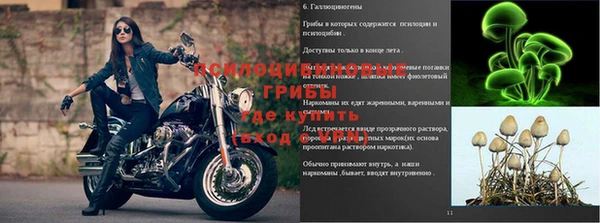 индика Вязники