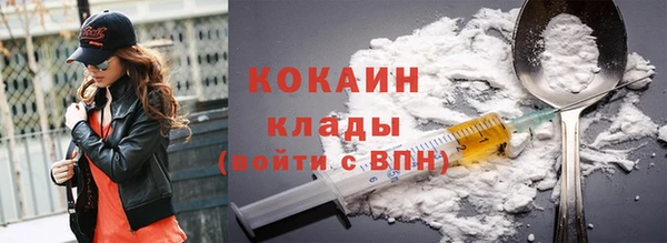 мдпв Горно-Алтайск