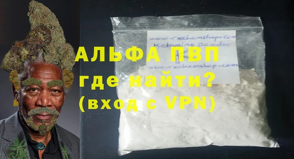 прущие грибы Вяземский