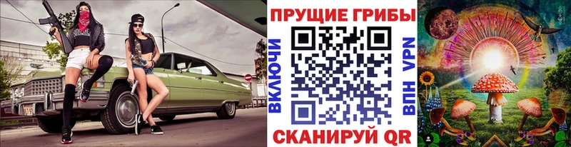 Купить закладки  Певек  Галлюциногенные грибы прущие грибы 